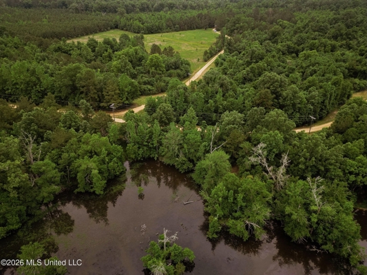 Land for Sale in Amite County, MS