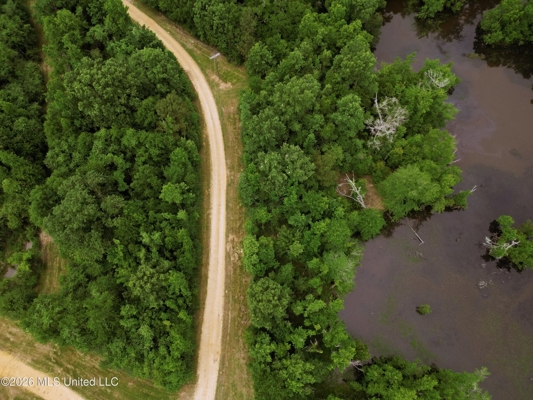 Land for Sale in Amite County, MS