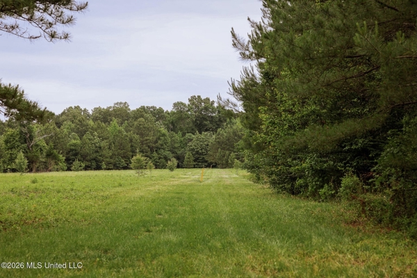 Land for Sale in Amite County, MS
