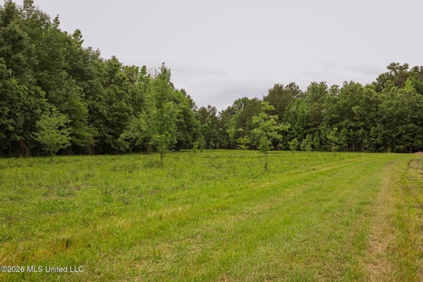 Land for Sale in Amite County, MS