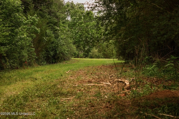 Land for Sale in Amite County, MS
