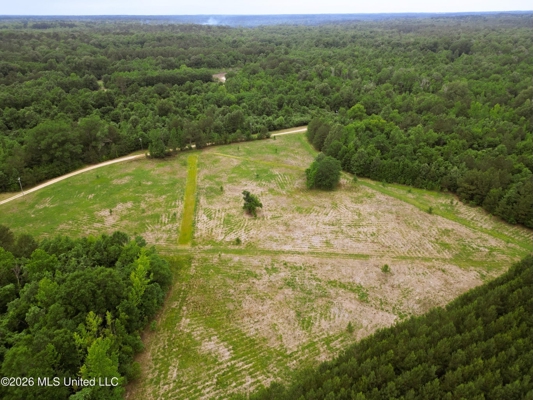 Land for Sale in Amite County, MS