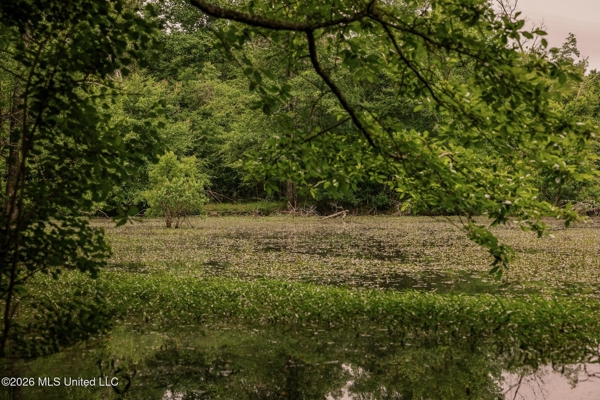 Land for Sale in Amite County, MS