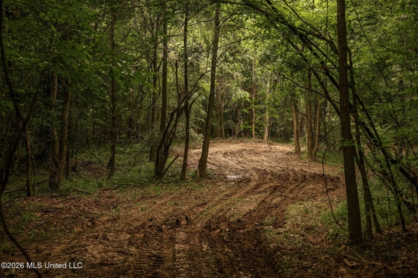 Land for Sale in Amite County, MS