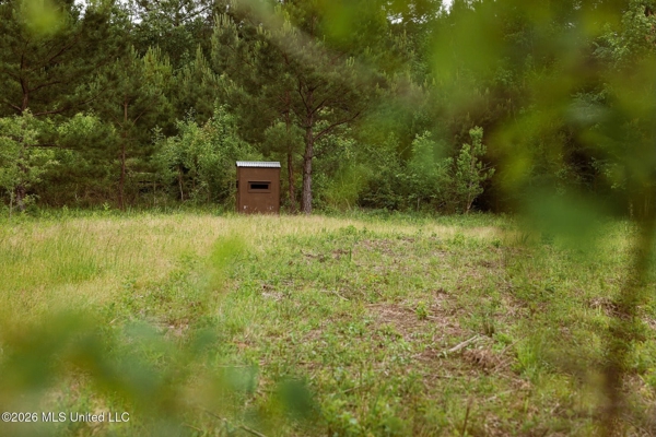 Land for Sale in Amite County, MS