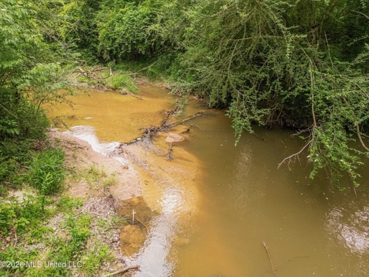 Land for Sale in Amite County, MS