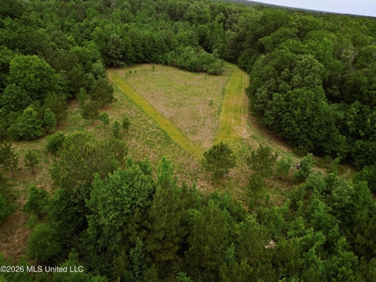 Land for Sale in Amite County, MS