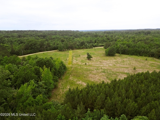 Land for Sale in Amite County, MS