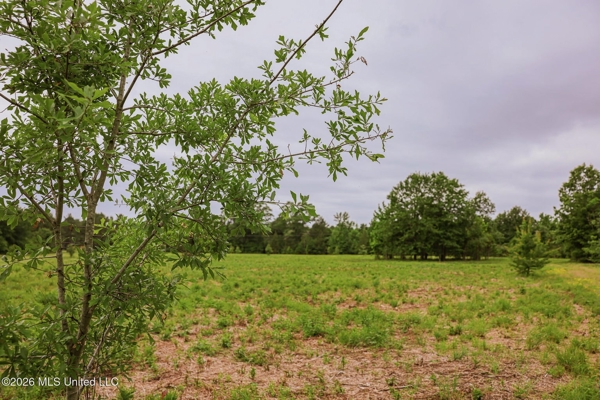 Land for Sale in Amite County, MS