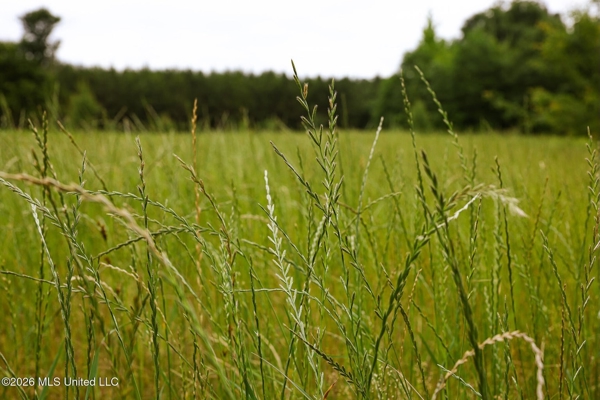 Land for Sale in Amite County, MS
