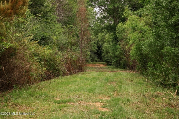 Land for Sale in Amite County, MS