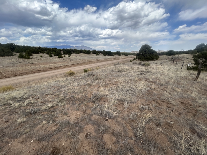 No Caption