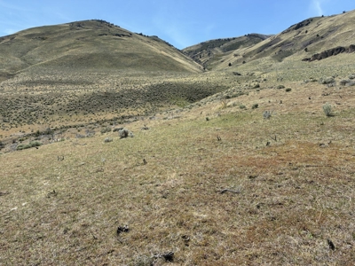 159.84± Acres of Rolling Hill Ranch and Recreation Land in CA - image 13