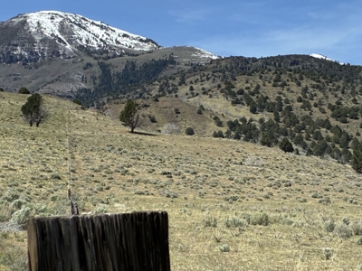 159.84± Acres of Rolling Hill Ranch and Recreation Land in CA - image 14