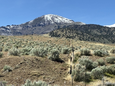 159.84± Acres of Rolling Hill Ranch and Recreation Land in CA - image 26