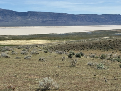 159.84± Acres of Rolling Hill Ranch and Recreation Land in CA - image 12
