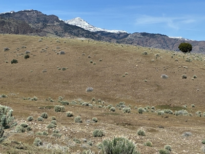 159.84± Acres of Rolling Hill Ranch and Recreation Land in CA - image 4