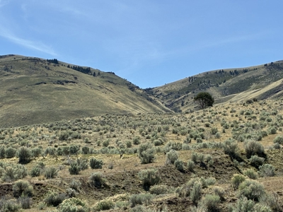 159.84± Acres of Rolling Hill Ranch and Recreation Land in CA - image 24