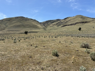 159.84± Acres of Rolling Hill Ranch and Recreation Land in CA - image 20
