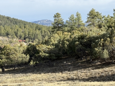Mountain acreage with utilities - image 13
