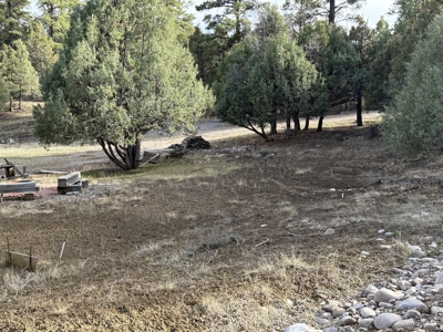 Mountain acreage with utilities - image 5