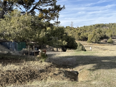 Mountain acreage with utilities - image 18