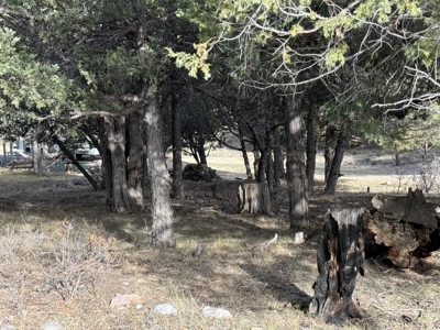 Mountain acreage with utilities - image 19