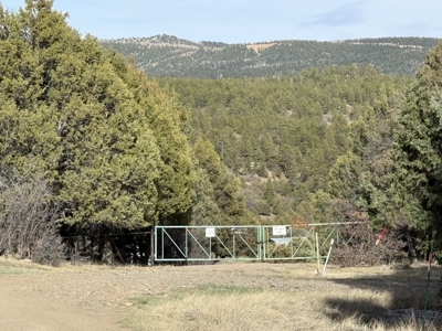 Mountain acreage with utilities - image 4