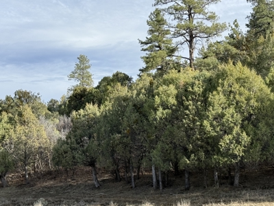 Mountain acreage with utilities - image 12