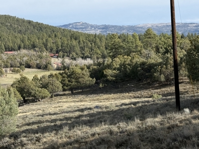 Mountain acreage with utilities - image 15