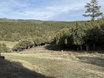 Mountain acreage with utilities - image 20