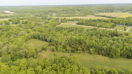 Approximately 8.5 acres-Ready for Your Dream Homestead! - image 10