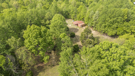Approximately 8.5 acres-Ready for Your Dream Homestead! - image 1