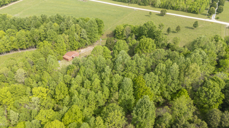 Approximately 8.5 acres-Ready for Your Dream Homestead! - image 13