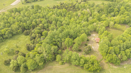 Approximately 8.5 acres-Ready for Your Dream Homestead! - image 6
