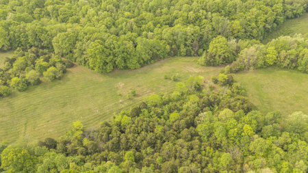 Approximately 8.5 acres-Ready for Your Dream Homestead! - image 7