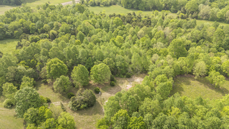 Approximately 8.5 acres-Ready for Your Dream Homestead! - image 31
