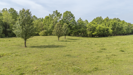 Approximately 8.5 acres-Ready for Your Dream Homestead! - image 24