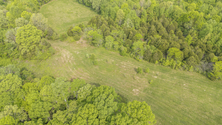 Approximately 8.5 acres-Ready for Your Dream Homestead! - image 11