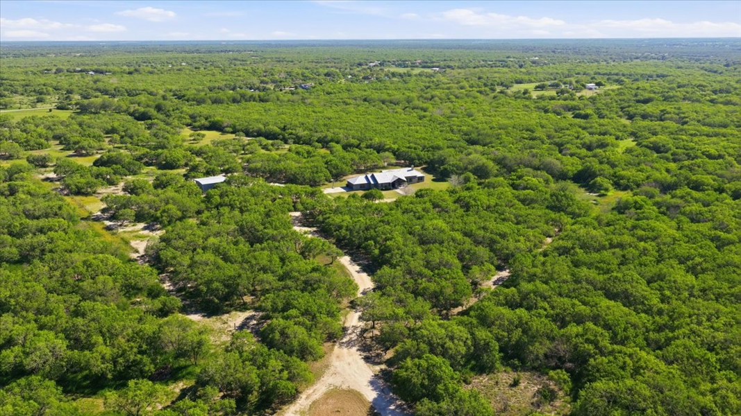 No Caption