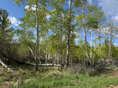 Camp or Build Dream Cabin in Crystal Lakes - image 4