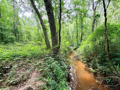Build, Hunt, Fish, Recreation near Booneville, Mississippi - image 3