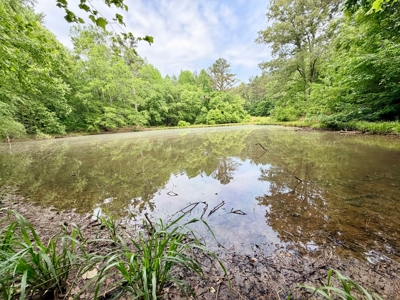 Build, Hunt, Fish, Recreation near Booneville, Mississippi - image 9