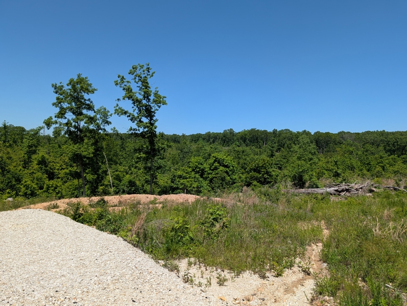 No Caption