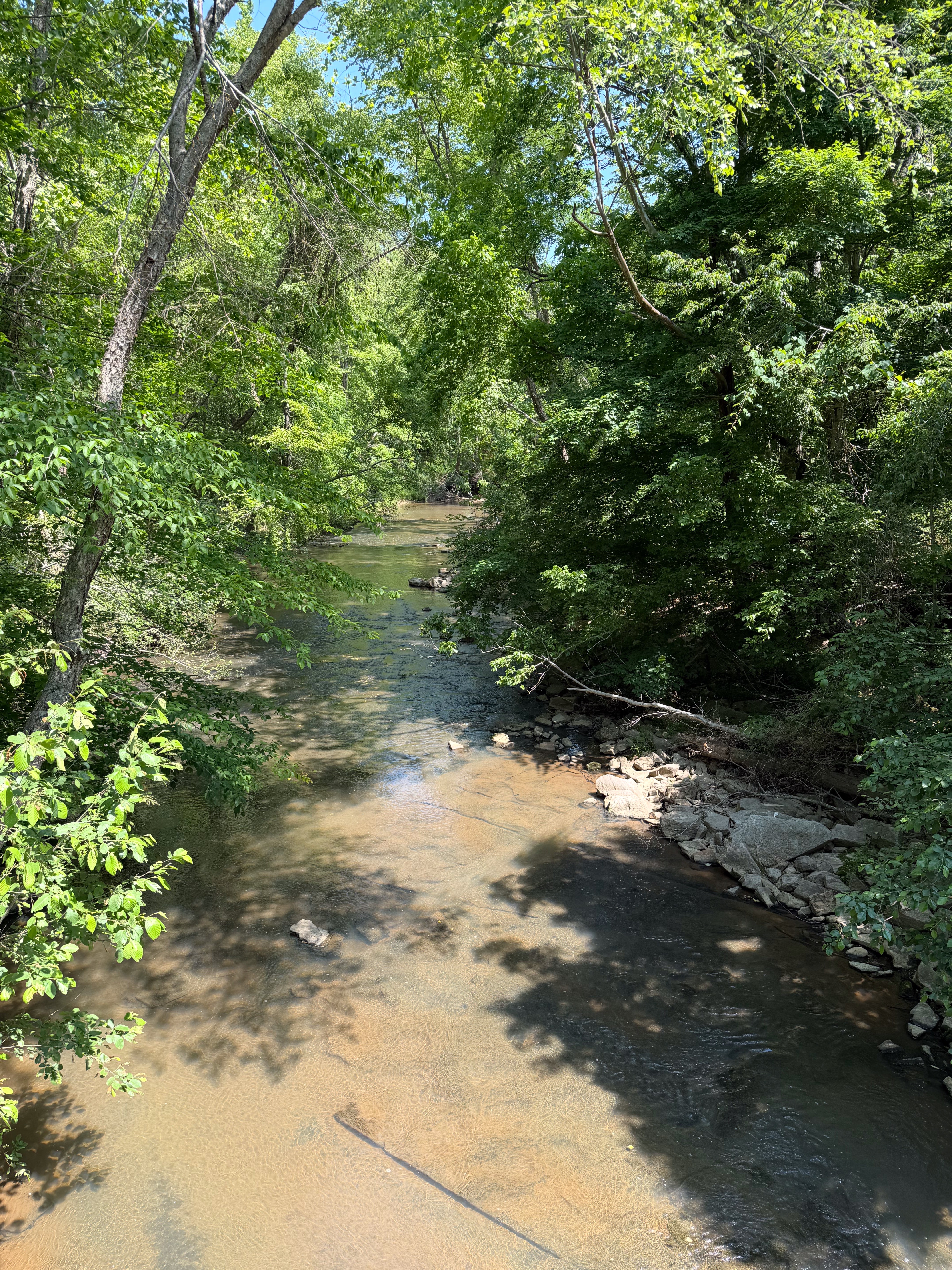 LIve Creek On Property