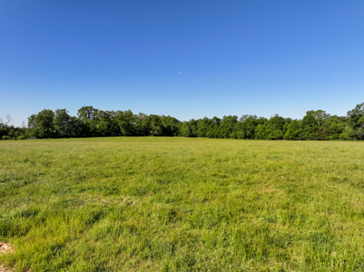 Land for Sale Barton County, MO - image 19