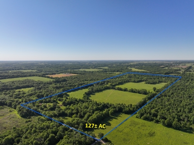 Land for Sale Barton County, MO - image 4