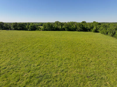 Land for Sale Barton County, MO - image 17