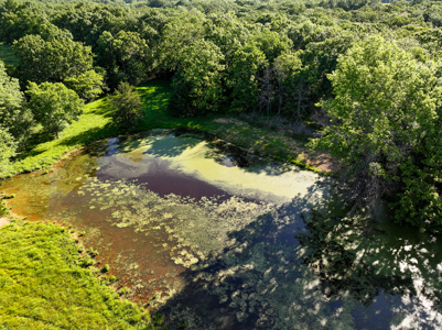 Land for Sale Barton County, MO - image 8