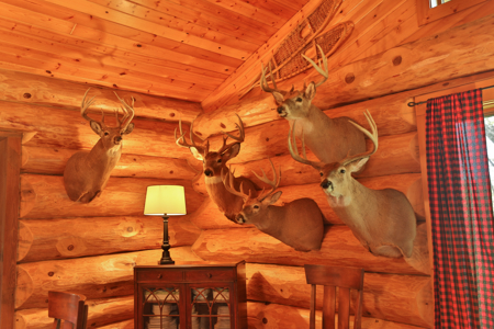 30-Acre Luxury Log Estate | Trophy Whitetail Sanctuary & Private - image 18